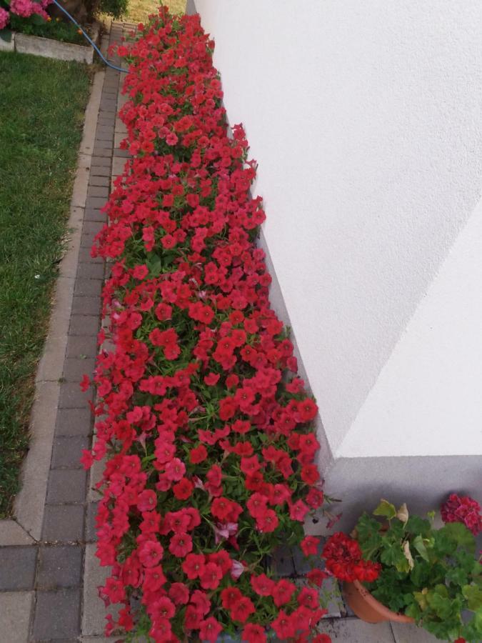 Hotel Pansion Ljubica Međugorje Exterior foto